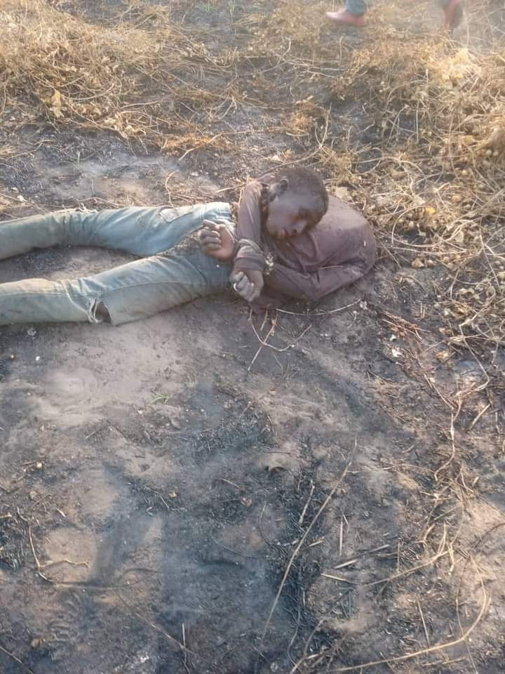 #ZabarmariMassacre: Photos of the rice farmers slaughtered by Boko Haram in Borno (Graphic)