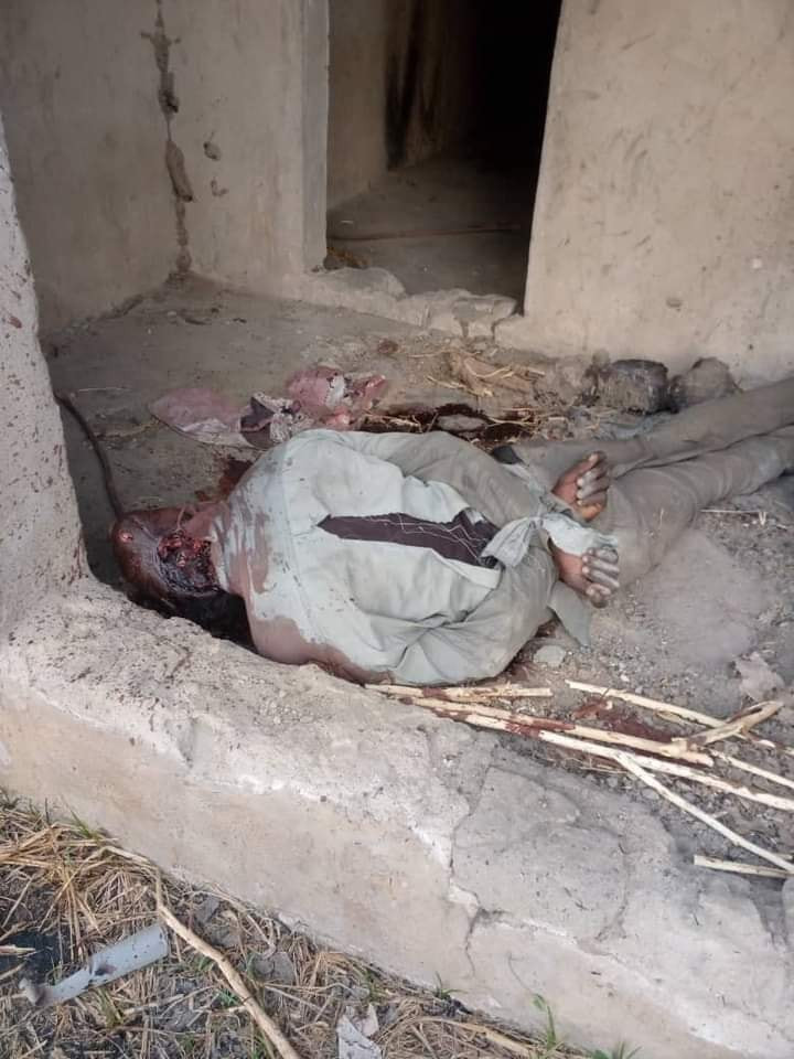 #ZabarmariMassacre: Photos of the rice farmers slaughtered by Boko Haram in Borno (Graphic)