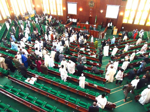 Reps reject bill seeking age limit for President and other political office holders 