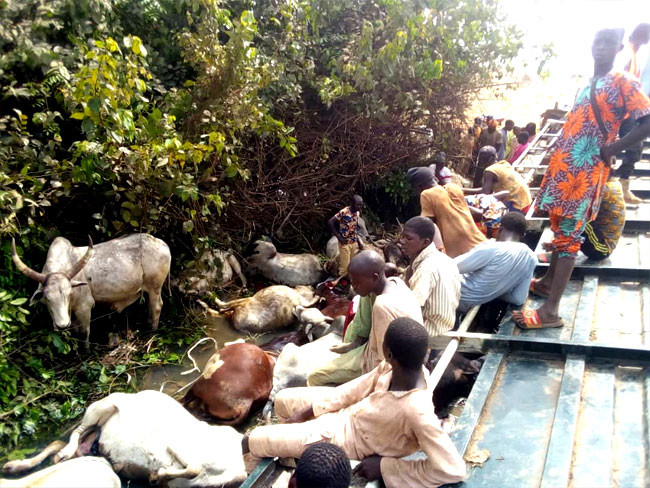 23 people killed after truck conveying humans and cows crashed in Niger state