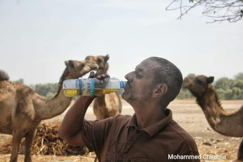 Son of former Nigerian Minister Ali Monguno pictured drinking Camel urine, says "it