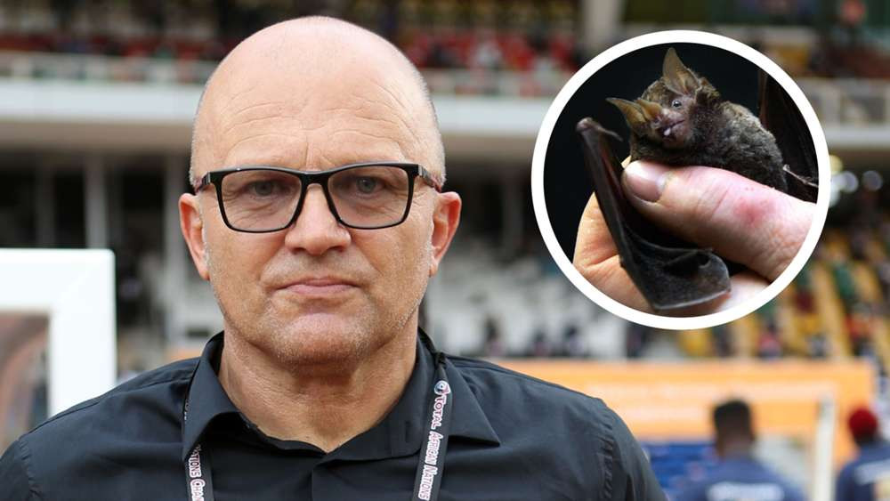 CAF responds after Zimbabwe coach accuses Cameroon of practicing witchcraft after a dead bat with a written note was found on the pitch
