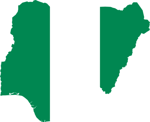 2021 Prophecy: There'll be new governnent without elections in Nigeria ― Cleric