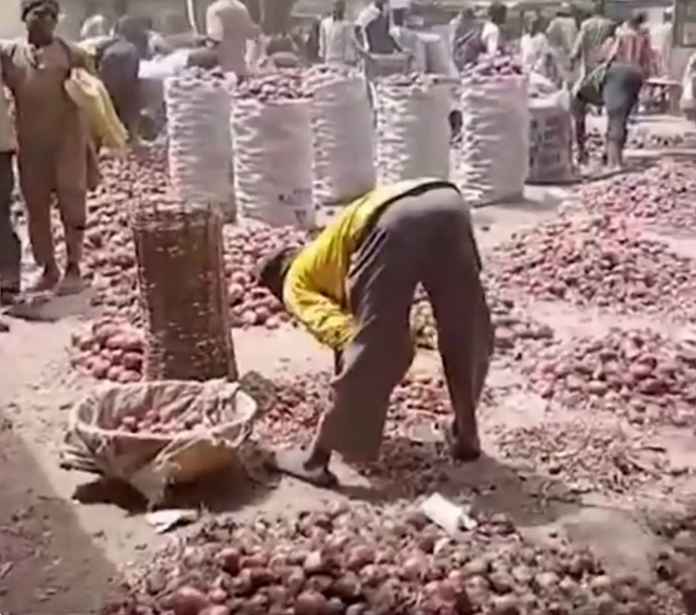 Traders in Kano lament as onion bag sold in the South for N35k crashes to N7k in the North (video)