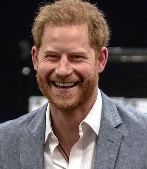 Prince Harry lands Silicon Valley job as he
