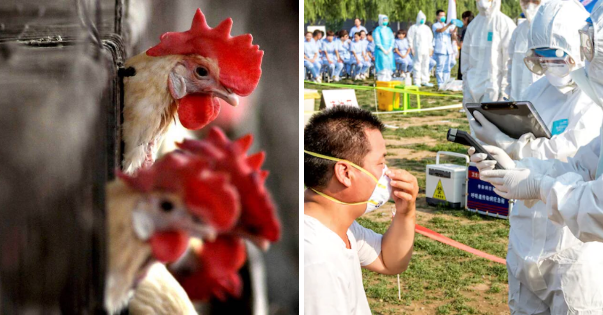  China records world?s first case of human infection with H10N3 bird flu