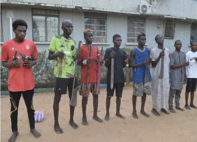 Police arrest 42 notorious thugs, 21 drug dealers, recover dangerous weapons and illicit drugs worth over N32m in Kano 