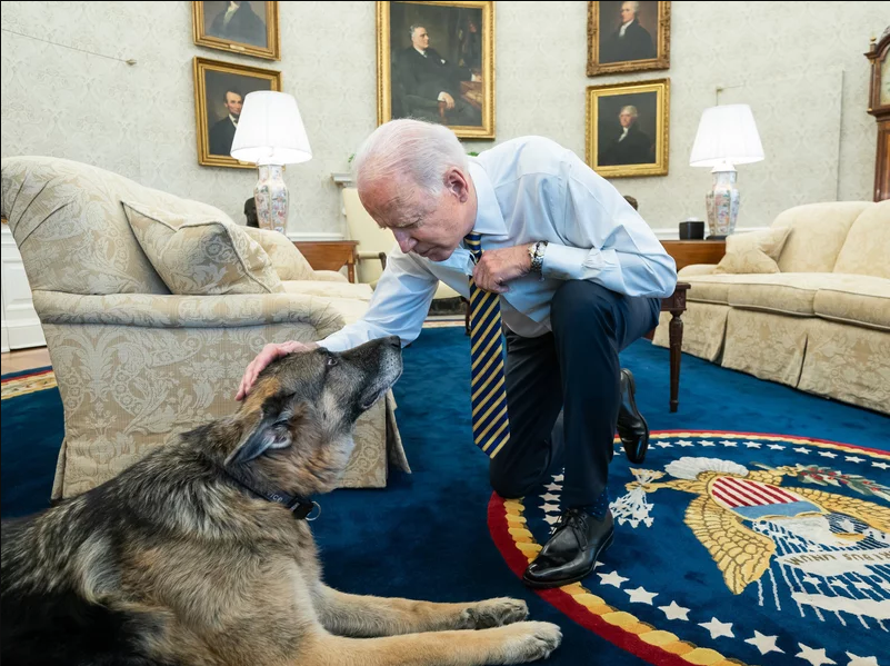 US President Biden announces death of family dog, Champ