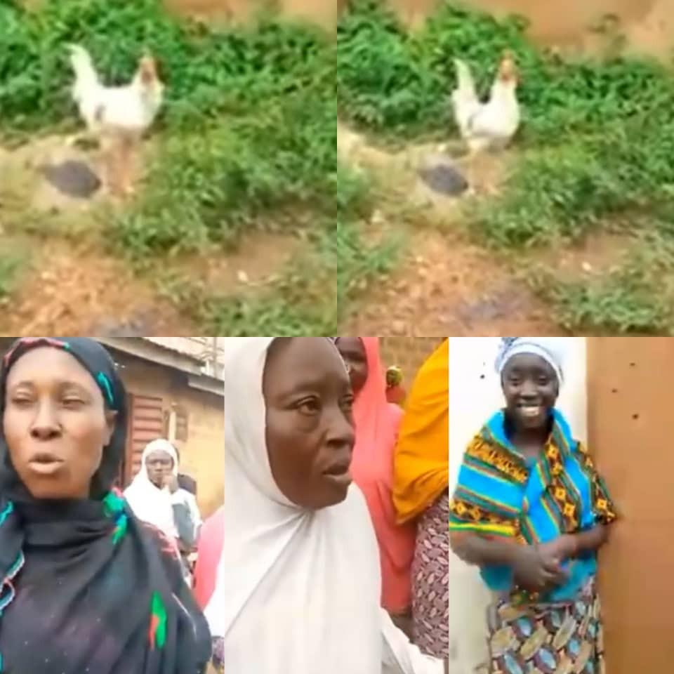Hilarious! Residents of a community in the South West file out to praise God after they claim they spotted a chicken shouting 