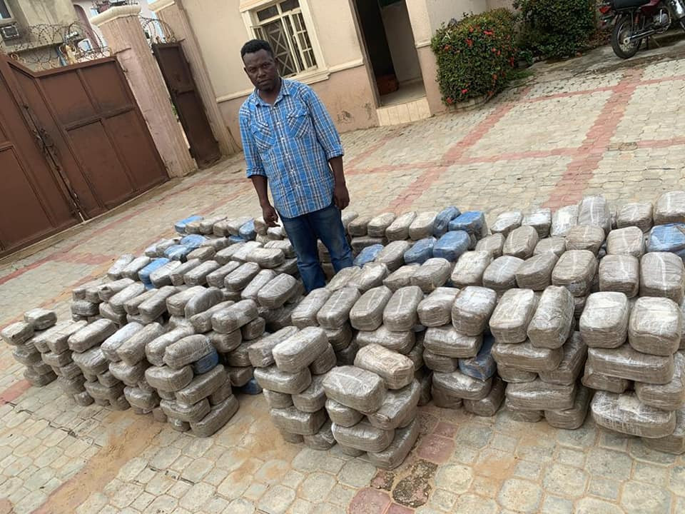 NDLEA busts interstate drug cartels, recovers 843kg skunk and cocaine