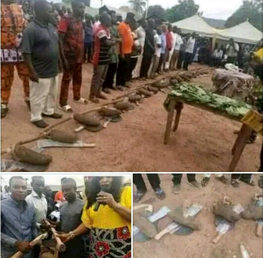 "Who have we offended in this country?" - Mixed reactions as Cross River LG chairman empowers constituents each with one tuber of yam, hoe and cutlass 