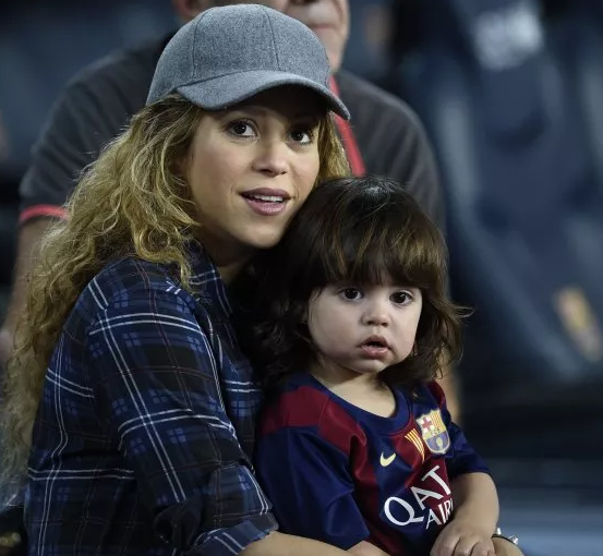 Singer, Shakira attacked by wild boars while in park with her son
