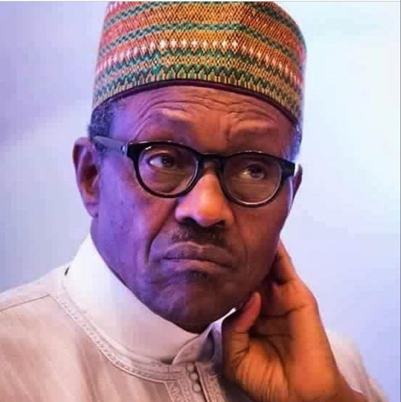 Age is telling on me, working for six hours a day is no joke - Buhari