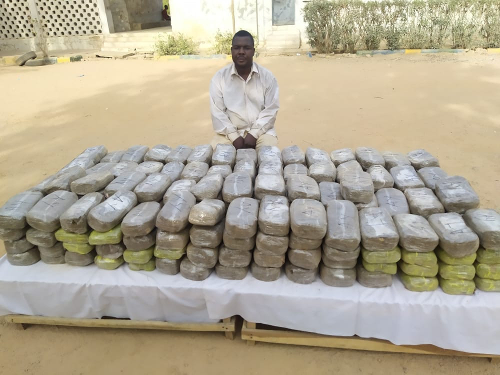 Police arrest drug dealer in Kano, recover?250 parcels of Indian hemp worth over N1.7m 