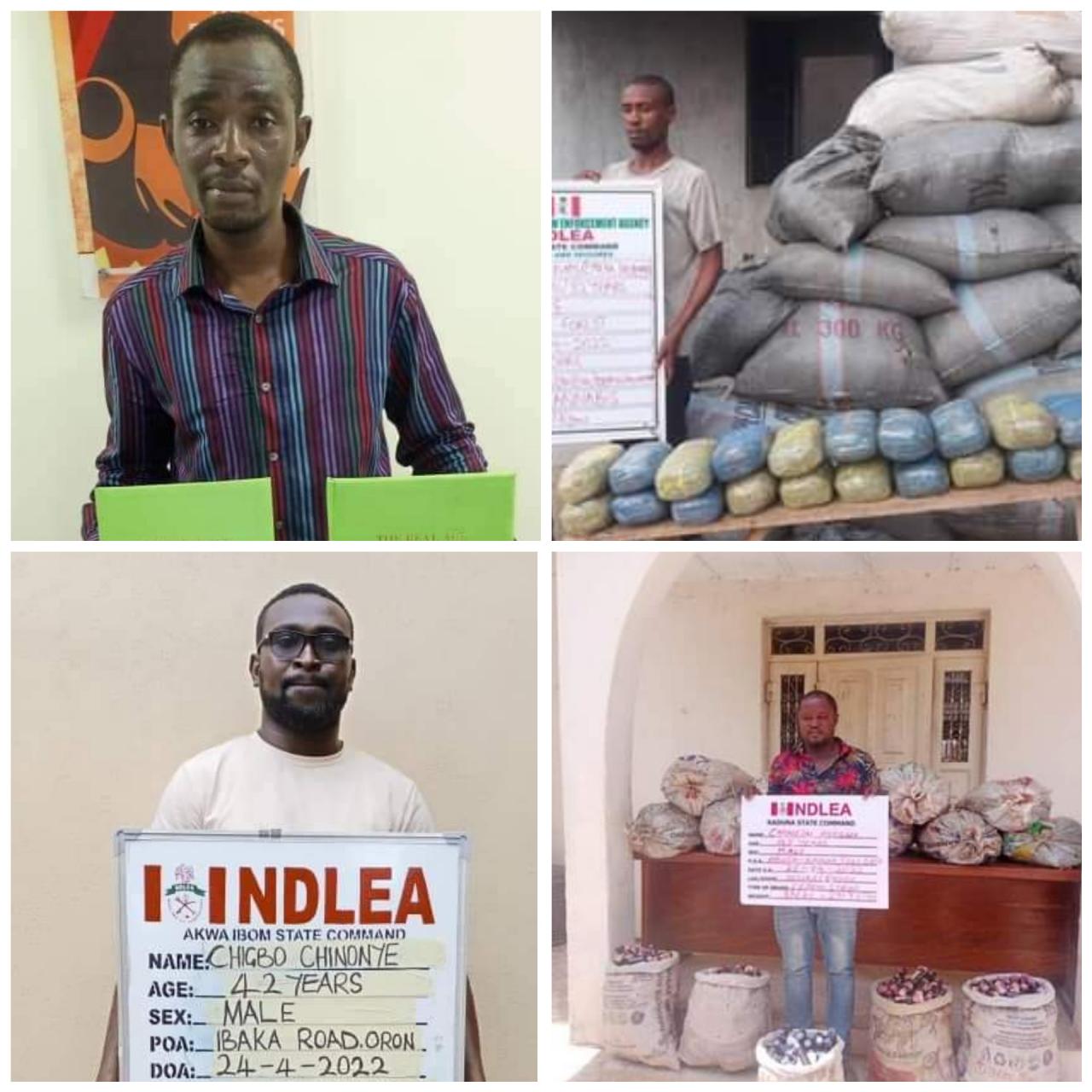 NDLEA intercepts N1.1b travellers? cheques, 10.89kg Cocaine at Lagos airport, seizes 2.3million Tramadol tabs and 2,919 bottles of Codeine in Kaduna