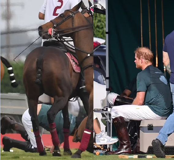 Prince Harry falls off horse at the polo