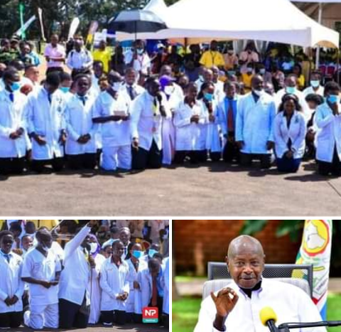 Ugandan doctors kneel before President Museveni, beg him to run for 7th term in 2026 (video)