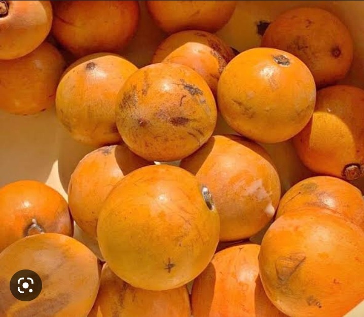 Medical benefits Of Taking African star Apple Fruit