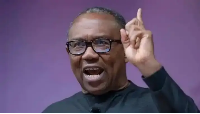 I’ve No Reason To Rest Because Of Election, No Serious Leader Will Go And Rest In Nigeria– Peter Obi
