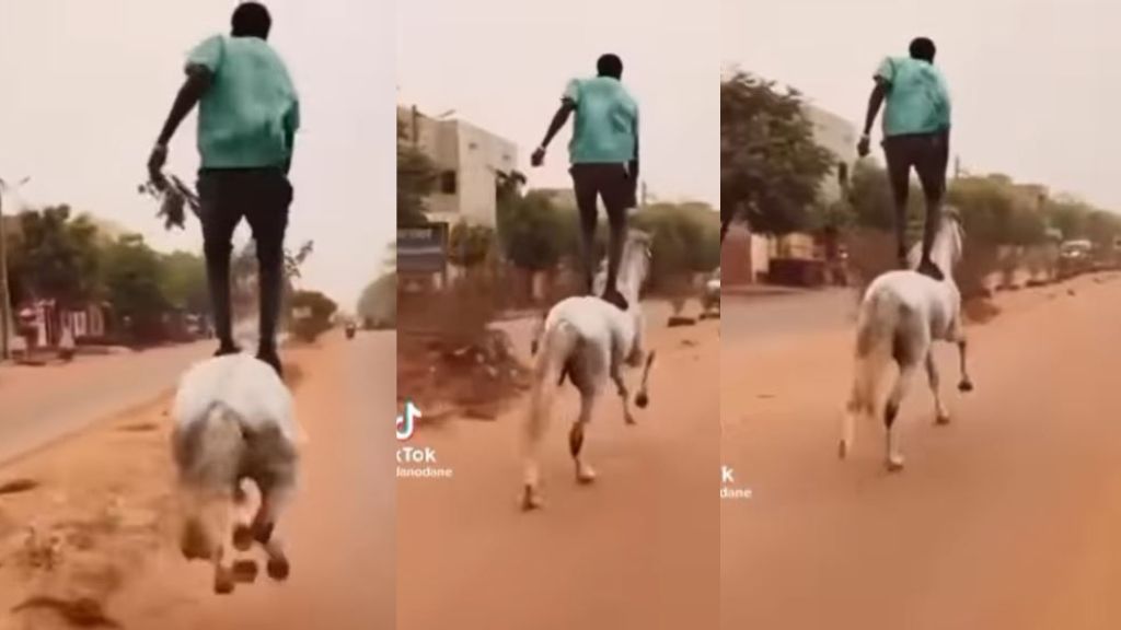Video trends as a Nigerian man spotted standing tall on a horse running with the speed of light (Watch)