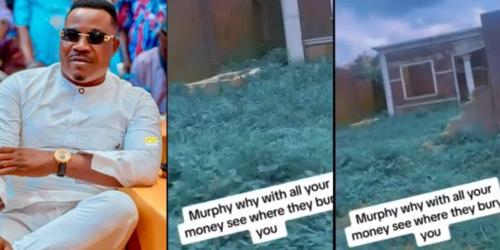 “Upon all the money, see where he was buried” – Ladies lament condition of late Murphy Afolabi’s grave -VIDEO