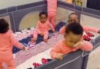 Trending video of a Nigerian mum and her set of quintuplets having their ?annual general meeting?